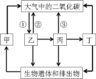 2019年四川教師資格證考試大綱:《科學(xué)學(xué)科知識及教學(xué)能力》(初級中學(xué))