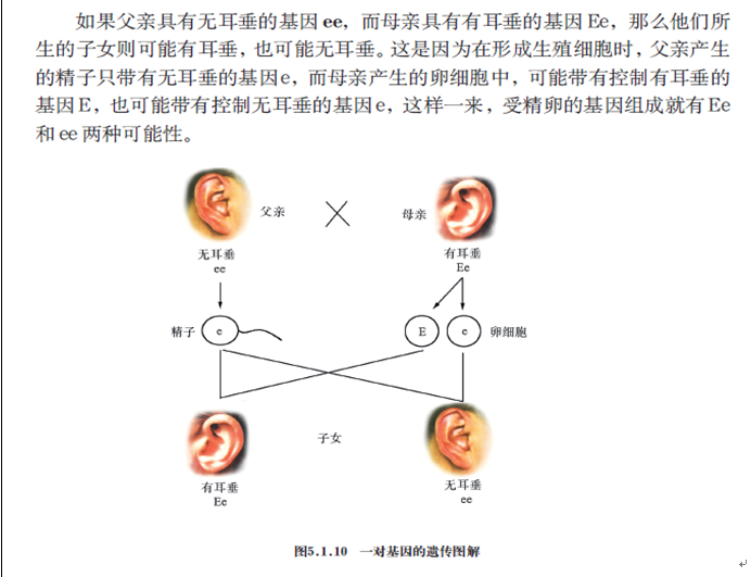 2019年四川教師資格證考試大綱:《科學(xué)學(xué)科知識及教學(xué)能力》(初級中學(xué))