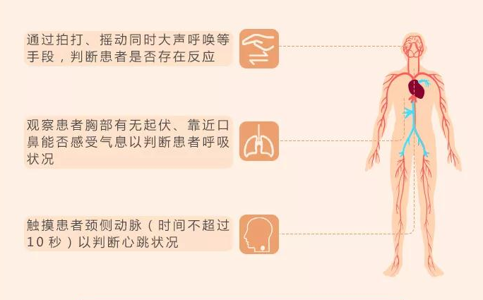 小學教師資格證